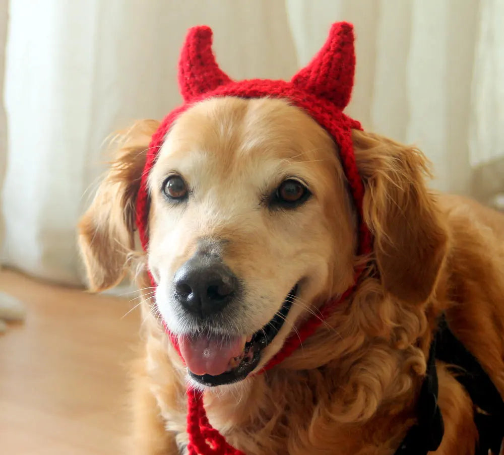 Devil Dog Costume, Devil Horns for Large Breed Dogs, Red Devil Dog Hat, Devil Halloween Dog Costume, Cute Dog Costume, Funny Dog Costume