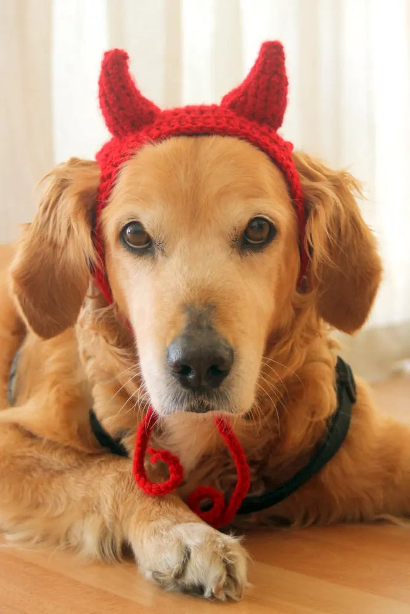 Devil Dog Costume, Devil Horns for Large Breed Dogs, Red Devil Dog Hat, Devil Halloween Dog Costume, Cute Dog Costume, Funny Dog Costume