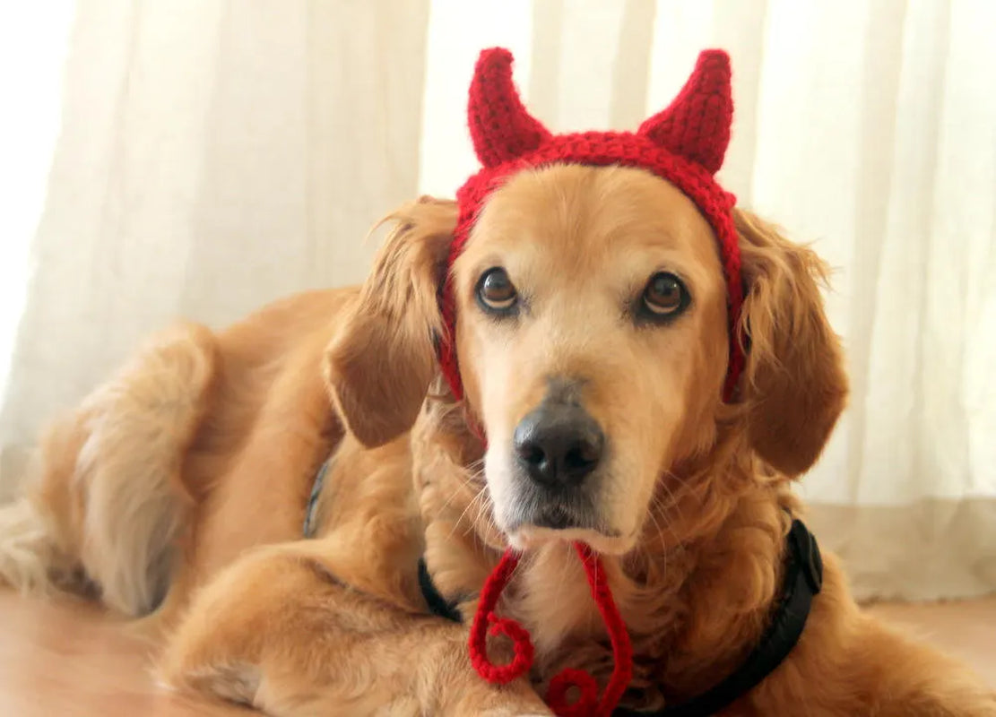 Devil Dog Costume, Devil Horns for Large Breed Dogs, Red Devil Dog Hat, Devil Halloween Dog Costume, Cute Dog Costume, Funny Dog Costume